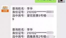 爆料雪莲的视频大全下载,一场视觉盛宴的精彩回顾